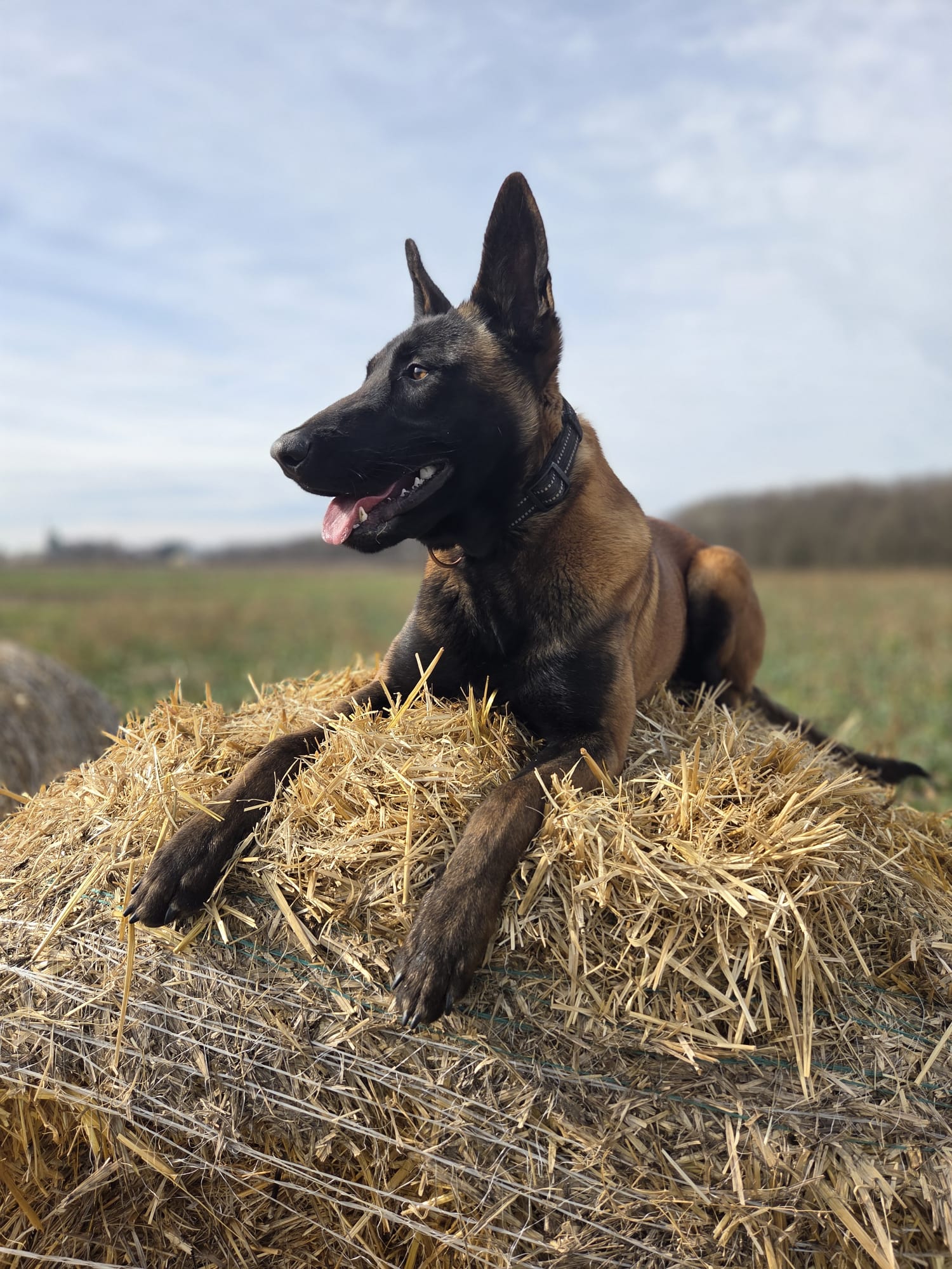 Vjetropark Vrataruša